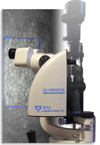 CL-1000eva